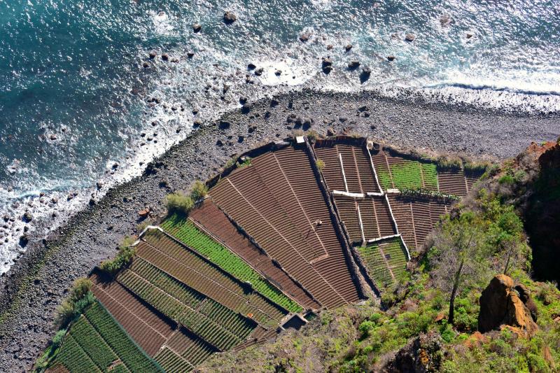 Agriculture by the sea in Madeira Island