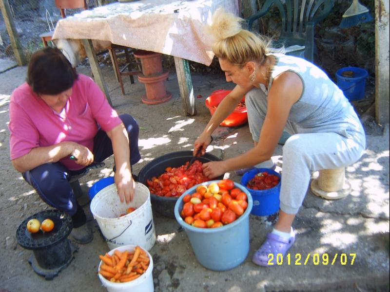 Нашата богата реколта от домати, чушки, моркови. 