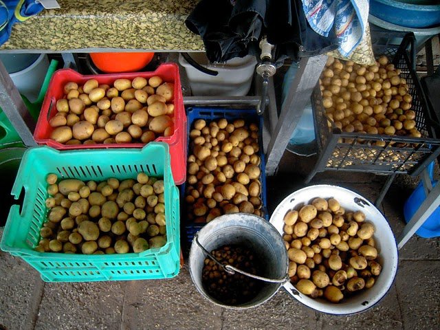 Сортиране на картофите наесен